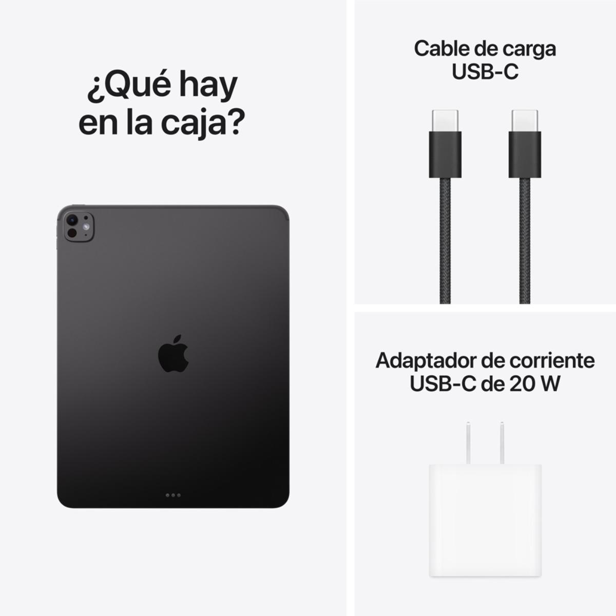 iPad Pro