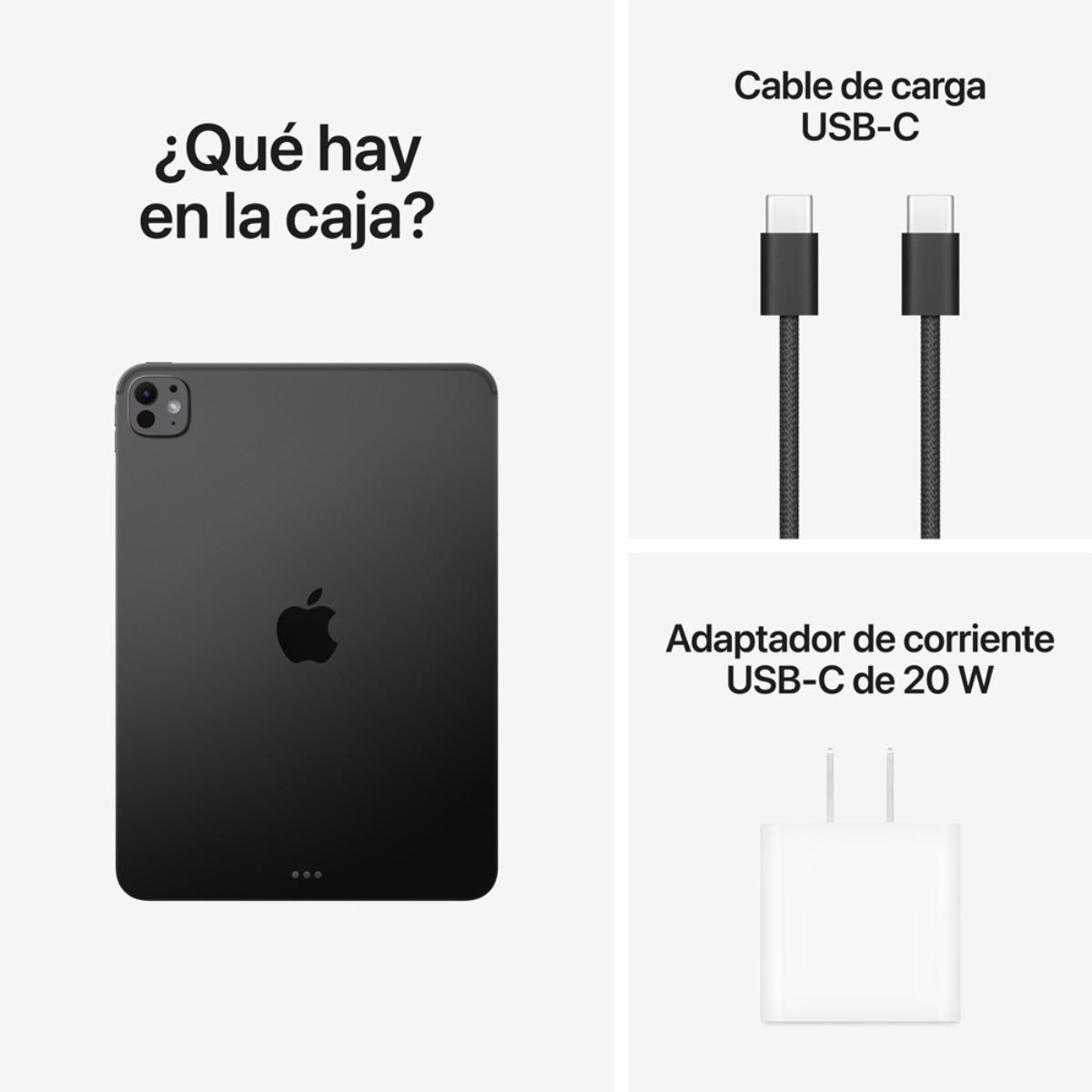 iPad Pro